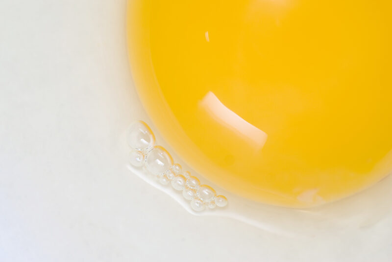 ¿Por qué algunas yemas de huevo son de color naranja intenso?